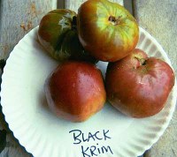 Black Krim tomatoes