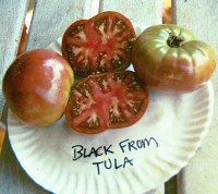 blacktulalg.jpg