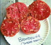 Pink Brandywine tomatoes