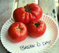 breakodaylg.jpg