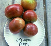 Cherokee Purple tomatoes