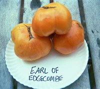 Earl of Edgecombe