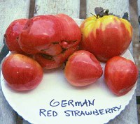 germanredstrawberrylg.jpg