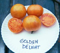goldendelighlgt.jpg