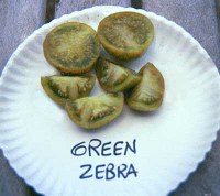 Green Zebra tomatoes
