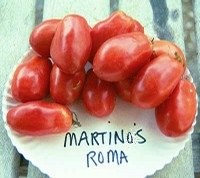 Martino's Roma tomatoes