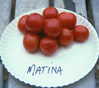 matinalg.jpg