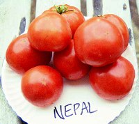 nepallg.jpg