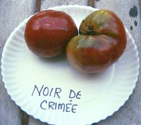 noirdecrimeelg.jpg
