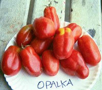 opalakalg.jpg
