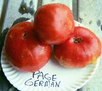 pagegermanlg.jpg