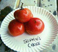 sophieschoicelg.jpg