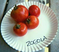 zogolalg.jpg
